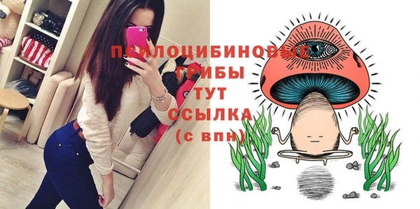 apvp Лиски
