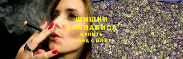 ПСИЛОЦИБИНОВЫЕ ГРИБЫ Ладушкин